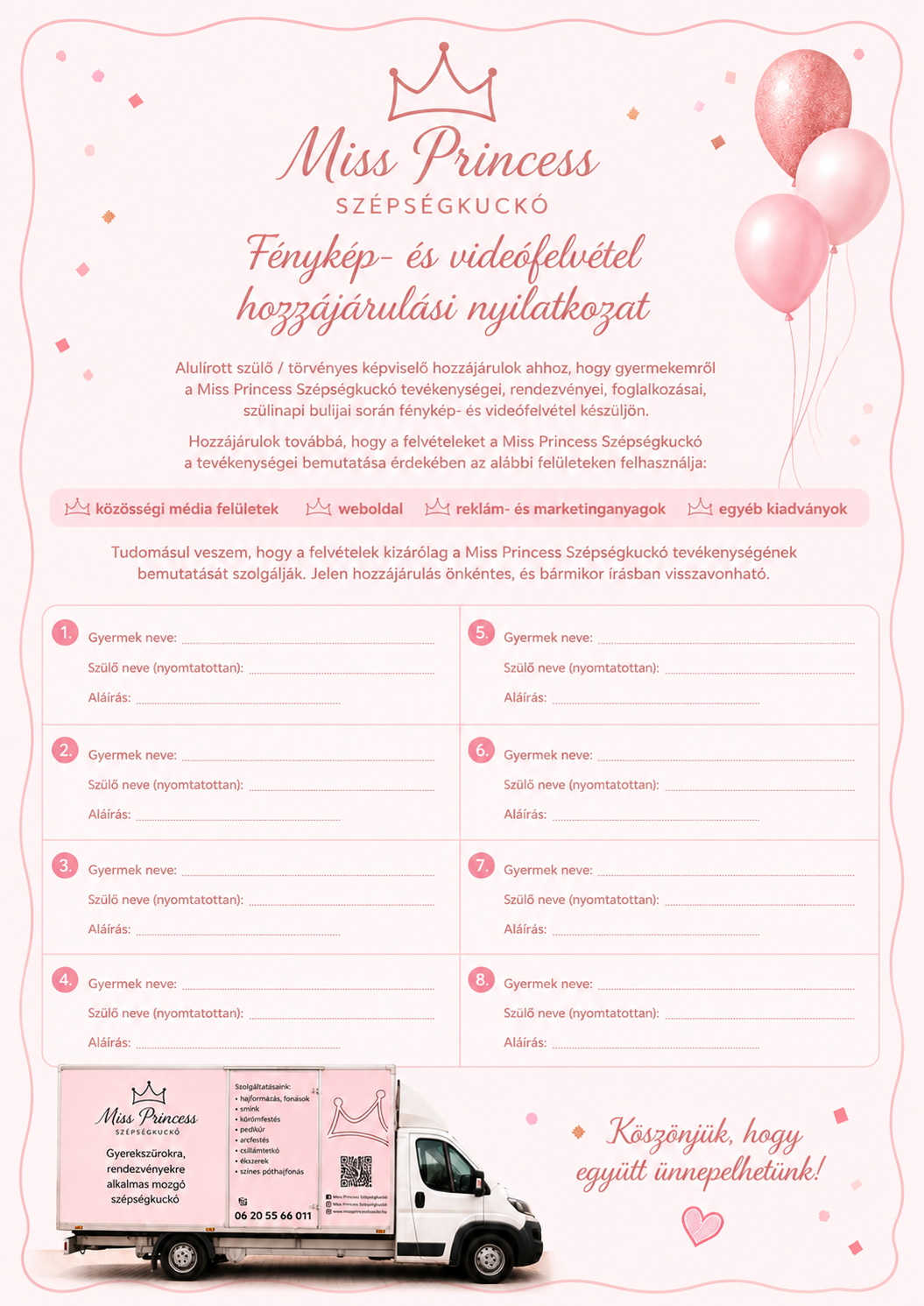 Miss Princess nyilatkozat előnézete